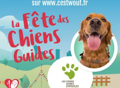 fête-digitale-des-chiens-guides