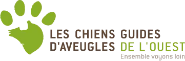 Les chiens guides d'aveugles de l'ouest