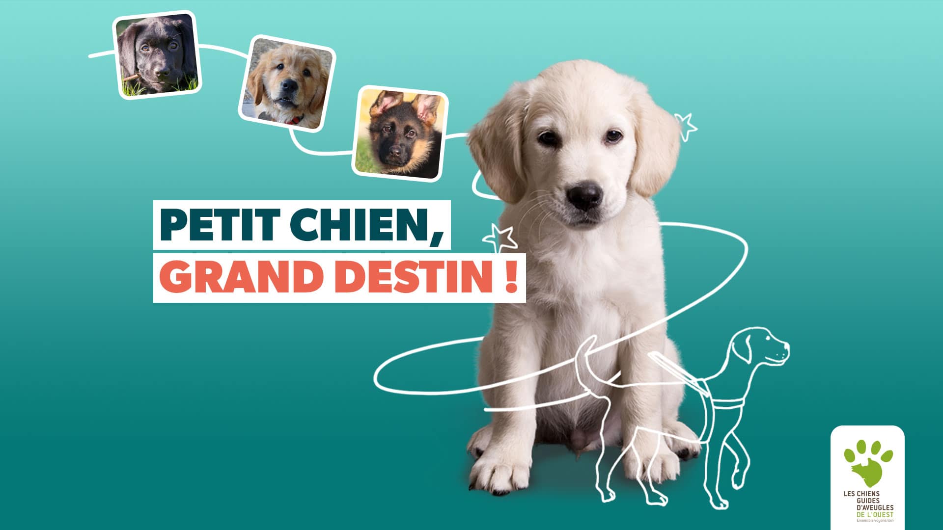 Petit-chien-grand-destin