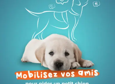 Mobilisez vos amis