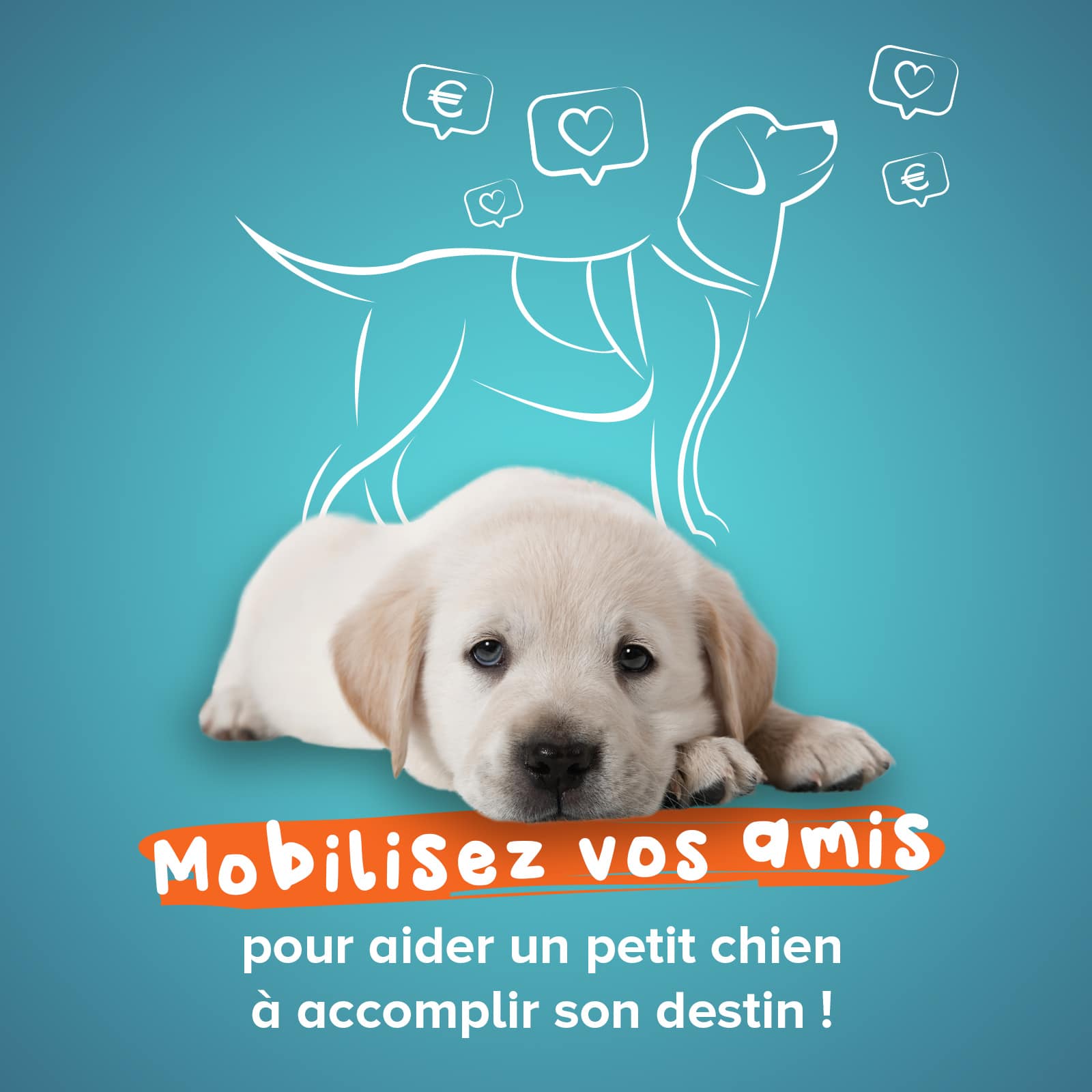 Mobilisez vos amis