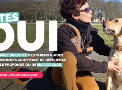 Oui à la remise gratuite des chiens guides au personnes aveugles et malvoyantes
