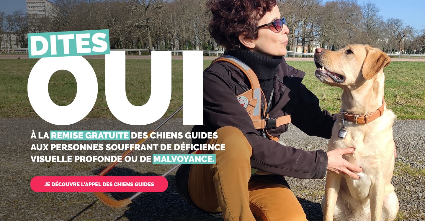 Oui à la remise gratuite des chiens guides au personnes aveugles et malvoyantes